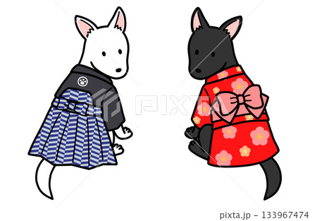 着物を着たオスメスの犬 133967474