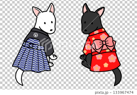 着物を着たオスメスの犬 133967474