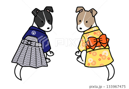 着物を着たオスメスの犬 133967475