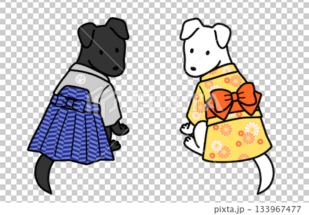 着物を着たオスメスの犬 着物を着たオスメスの犬 133967477