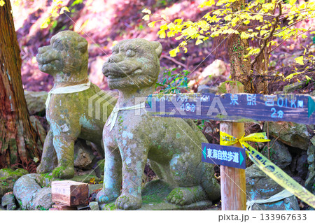鳳来寺の狛犬 鳳来寺の狛犬 133967633