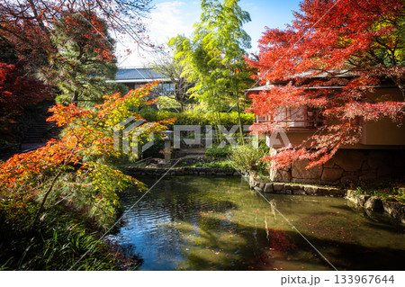 紅葉に彩られた庭園風景 練馬区立向山庭園 紅葉に彩られた庭園風景 練馬区立向山庭園 133967644