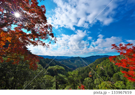 鳳来寺の紅葉 鳳来寺の紅葉 133967659