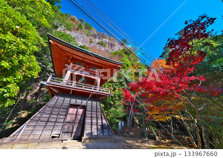 鳳来寺の紅葉 133967660
