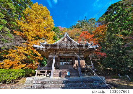 鳳来寺の紅葉 133967661