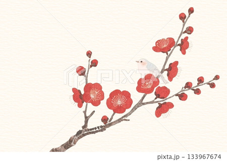 水彩 アンティーク 紅梅と小鳥 AI 水彩 アンティーク 紅梅と小鳥 AI 133967674