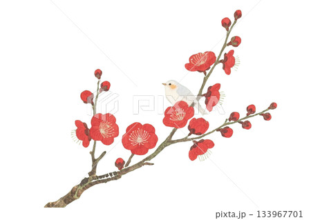 水彩　アンティーク　紅梅と小鳥　AI 133967701