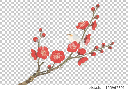 水彩　アンティーク　紅梅と小鳥　AI 133967701