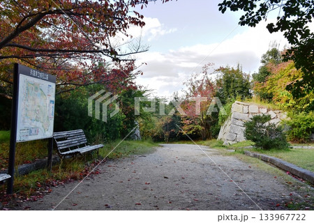 兵庫県　明石城（明石公園）の本丸付近散策路と石垣と紅葉 133967722