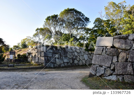 兵庫県　明石城（明石公園）の石垣と散策路 133967726