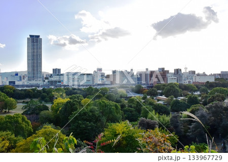 兵庫県　明石城（明石公園）からの眺望　明石の街並み 133967729