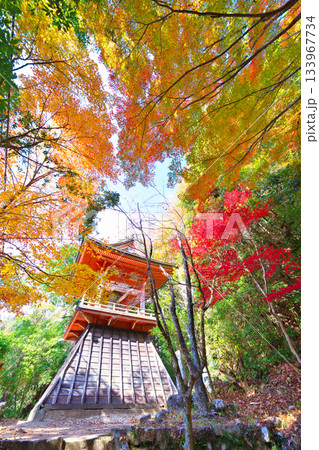 鳳来寺の紅葉 133967734