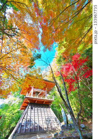 鳳来寺の紅葉 133967735