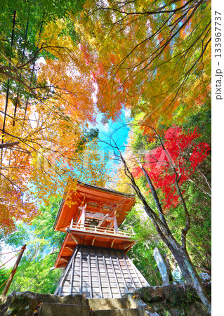 鳳来寺の紅葉 133967737