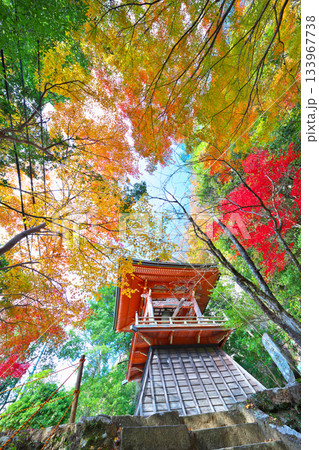 鳳来寺の紅葉 鳳来寺の紅葉 133967738