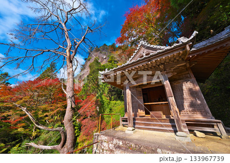 鳳来寺の紅葉 133967739