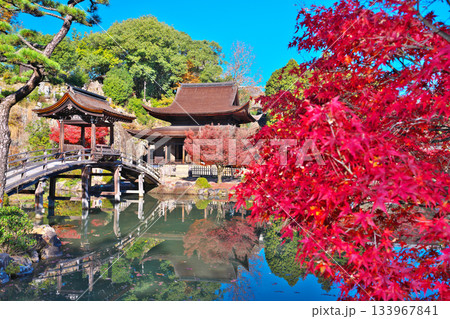 秋の永保寺 秋の永保寺 133967841