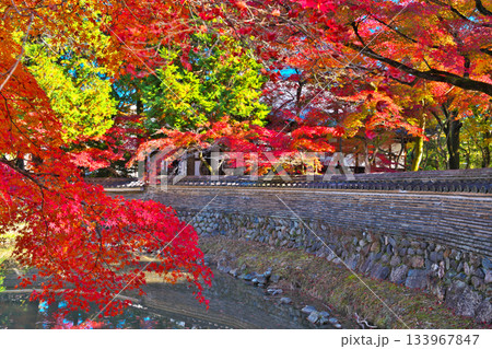 秋の永保寺 秋の永保寺 133967847