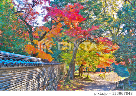 秋の永保寺 秋の永保寺 133967848