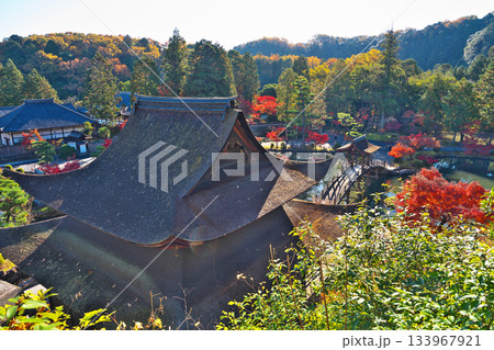 秋の永保寺 秋の永保寺 133967921
