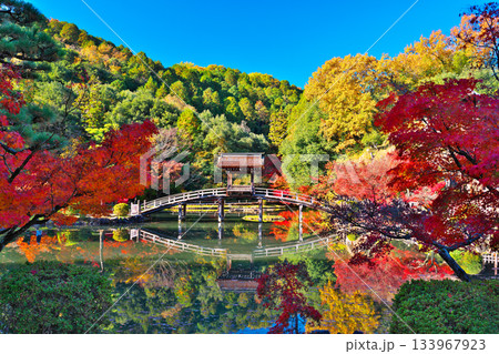 秋の永保寺 秋の永保寺 133967923