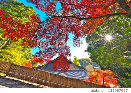 秋の永保寺 133967927