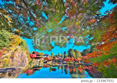 秋の永保寺 秋の永保寺 133967932