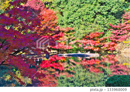 秋の永保寺 秋の永保寺 133968009