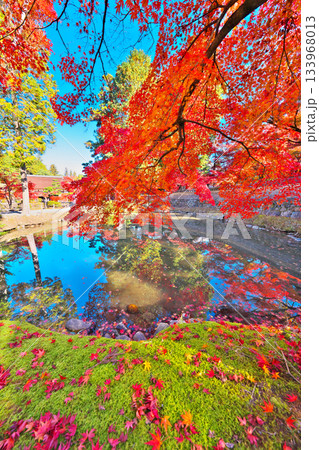 秋の永保寺 秋の永保寺 133968013