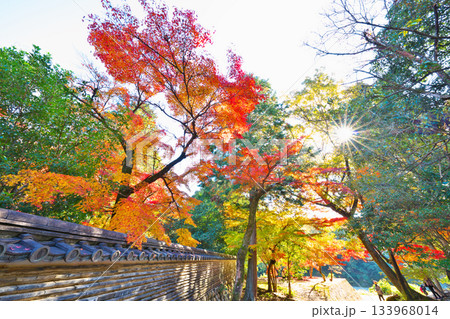 秋の永保寺 133968014