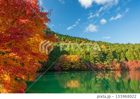 紅葉する南伊奈ヶ湖の風景 秋の南伊奈ヶ湖 紅葉する南伊奈ヶ湖の風景 秋の南伊奈ヶ湖 133968022