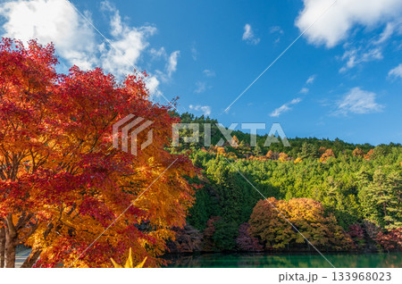 紅葉する南伊奈ヶ湖の風景　秋の南伊奈ヶ湖 133968023