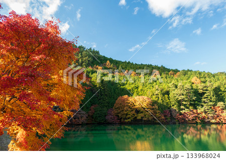 紅葉する南伊奈ヶ湖の風景 秋の南伊奈ヶ湖 紅葉する南伊奈ヶ湖の風景 秋の南伊奈ヶ湖 133968024