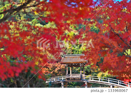 秋の永保寺 秋の永保寺 133968067