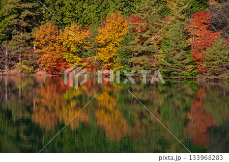 南伊奈ヶ湖の紅葉景色 湖面に映る紅葉 南伊奈ヶ湖の紅葉景色 湖面に映る紅葉 133968283