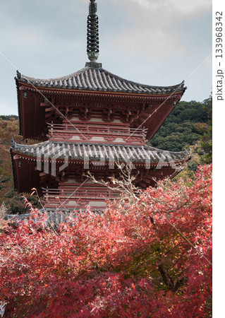 秋の神戸・太山寺・三重塔と紅葉 133968342