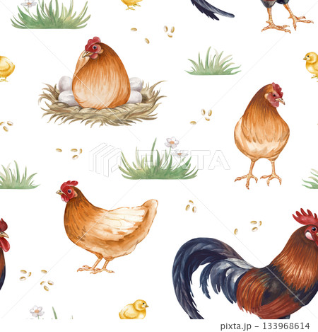 Vintage seamless poultry yard pattern on isolated background. Watercolor illustrations depicting brown hens, a rooster, chickens and grass. Realistic bird drawing for agriculture, packaging, wallpaper Vintage seamless poultry yard pattern on isolated background. Watercolor illustrations depicting brown hens, a rooster, chickens and grass. Realistic bird drawing for agriculture, packaging, wallpaper 133968614