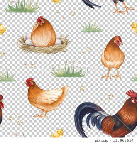 Vintage seamless poultry yard pattern on isolated background. Watercolor illustrations depicting brown hens, a rooster, chickens and grass. Realistic bird drawing for agriculture, packaging, wallpaper Vintage seamless poultry yard pattern on isolated background. Watercolor illustrations depicting brown hens, a rooster, chickens and grass. Realistic bird drawing for agriculture, packaging, wallpaper 133968614