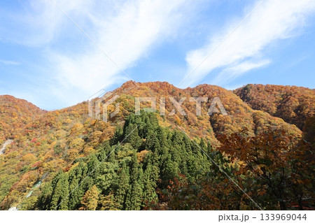 紅葉に染まる宇奈月温泉の山と青空　 133969044