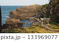 越前松島の風景と海に浮かぶ鳥居 133969077