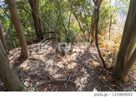 信貴山城雌岳郭（生駒山地） 133969083