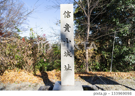 信貴山城址（生駒山地） 133969098