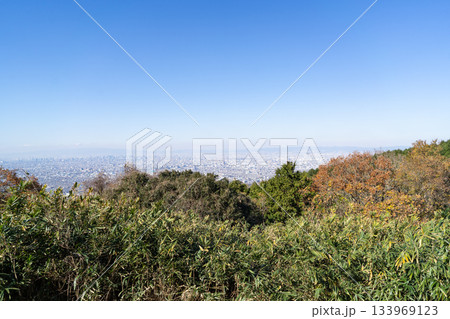 信貴生駒スカイラインから見た景色（高安山と縦走峠の間） 133969123