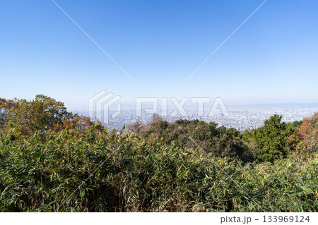 信貴生駒スカイラインから見た景色（高安山と縦走峠の間） 133969124