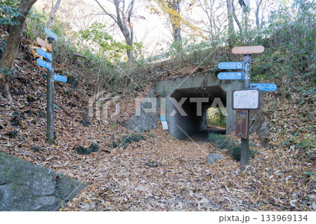 鳴川峠(生駒産地) 鳴川峠(生駒産地) 133969134