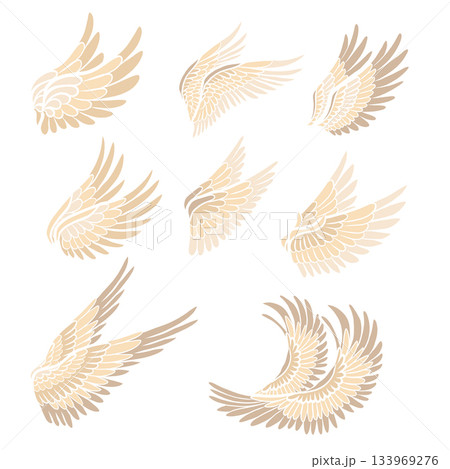 Vector set of bird wings. Collection of angel clip arts wings isolated of the background. Spiritual symbol of freedom Vector set of bird wings. Collection of angel clip arts wings isolated of the background. Spiritual symbol of freedom 133969276