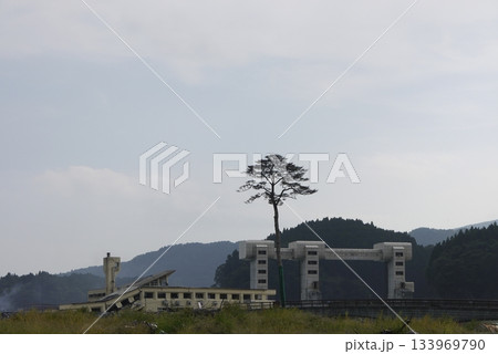 2012年陸前高田市、奇跡の一本松（保存整備前） 133969790