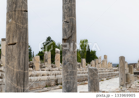 トルコエフェソス遺跡マーブル通り 133969905