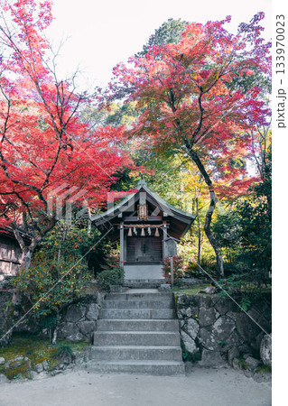 大宰府の美しい紅葉 大宰府の美しい紅葉 133970023
