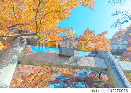 大宰府の美しい紅葉 133970038